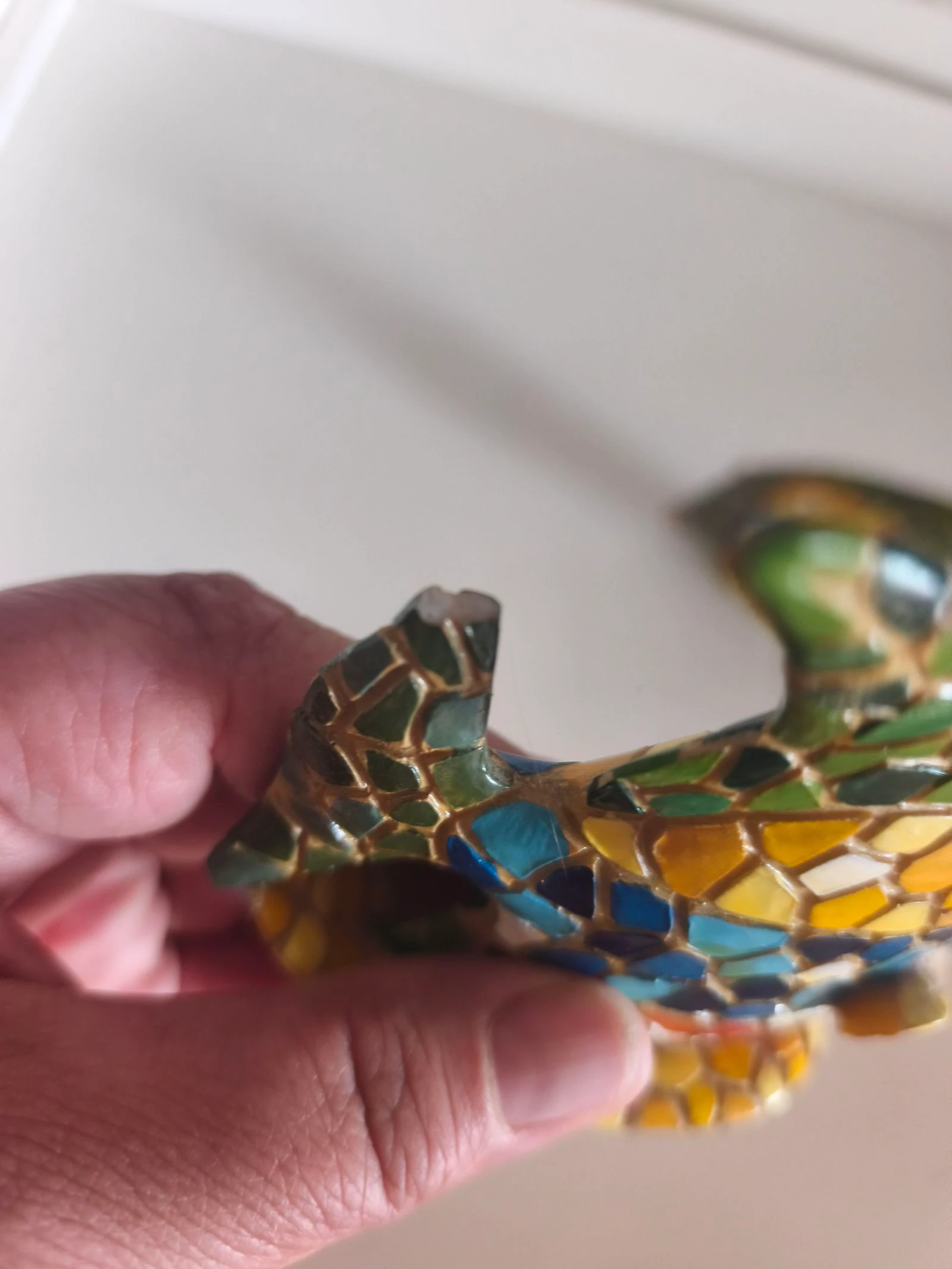 Salamandra em mosaico – photo 6